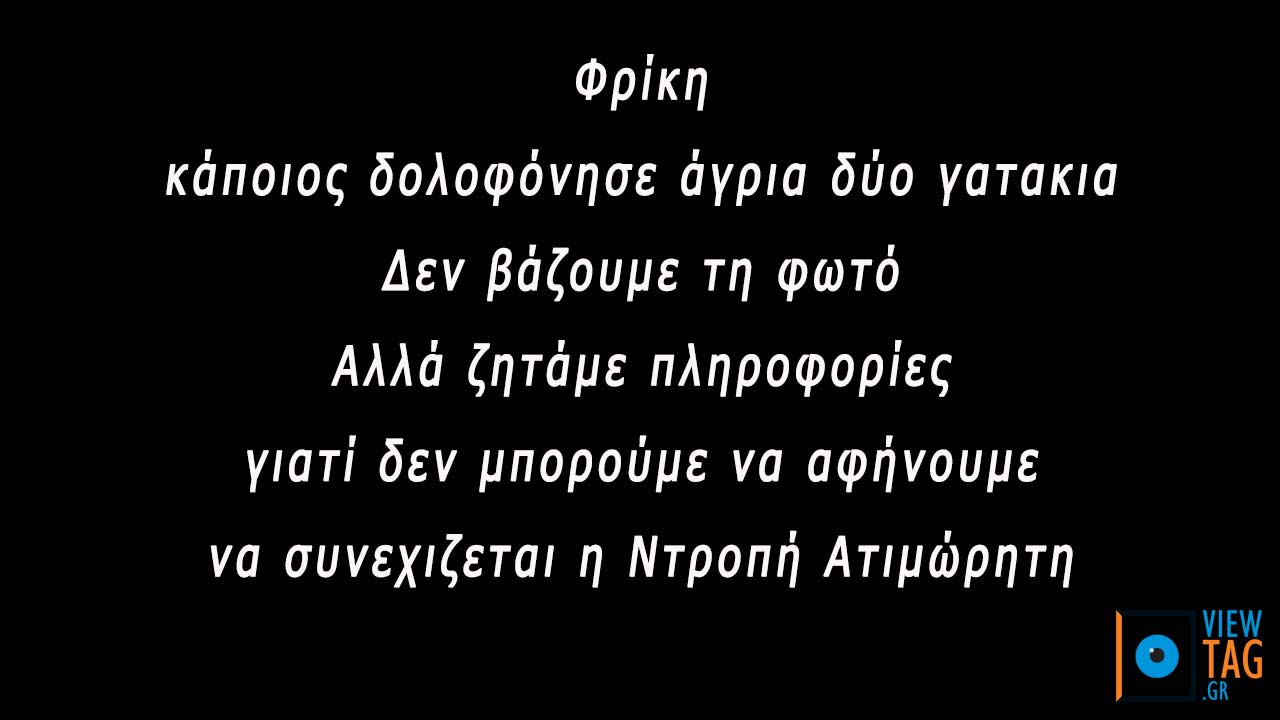 Βοηθήστε να βρούμε ποιος δολοφόνησε δύο γατάκια