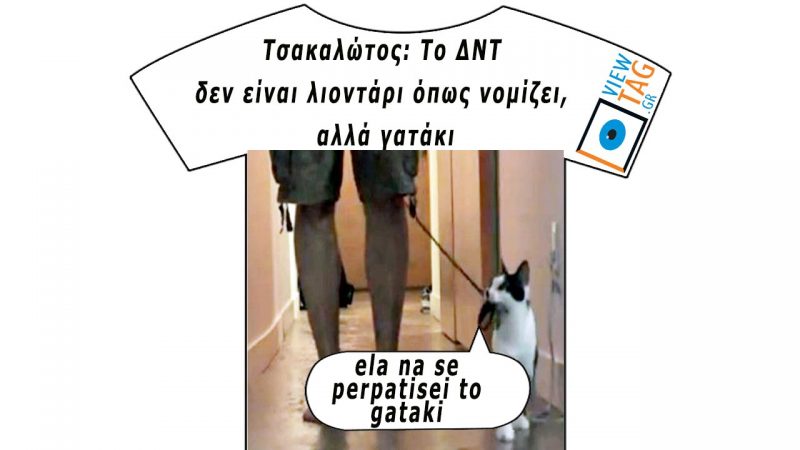 T-shirt Stories: απ' τα γατάκια κρεμόμαστε