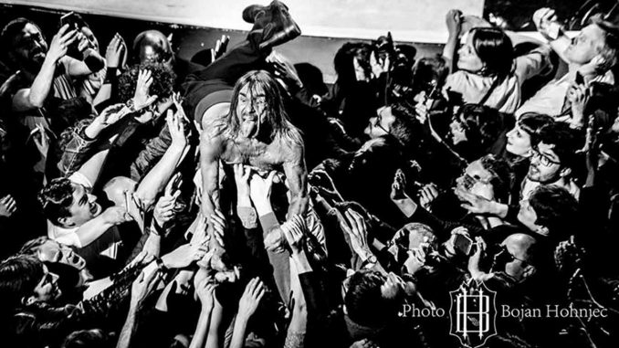 IGGY POP - GOLD