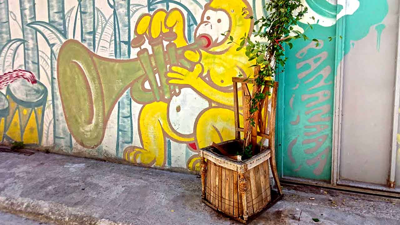 Η ανθισμένη καρέκλα και η τζαζ μαϊμού
