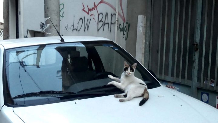 υπάρχει κάποιος να ποζάρε