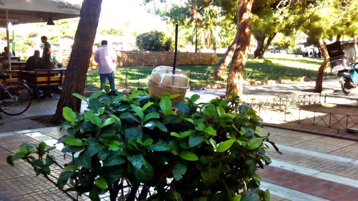 φύεται ο Freddo