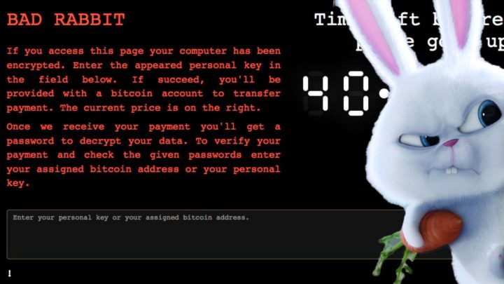 Bad Rabbit