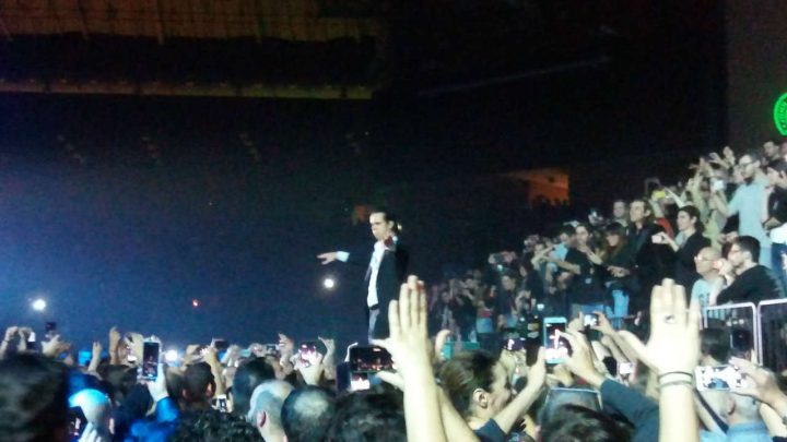 Nick Cave