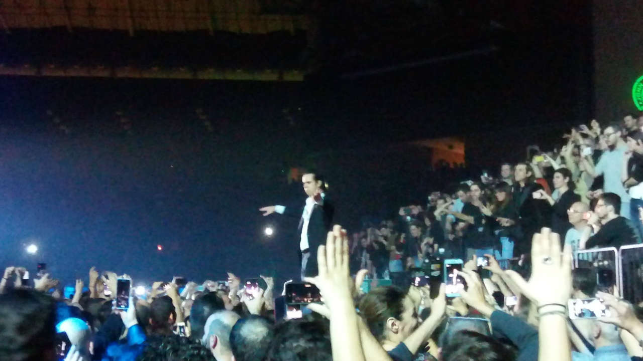 Nick Cave