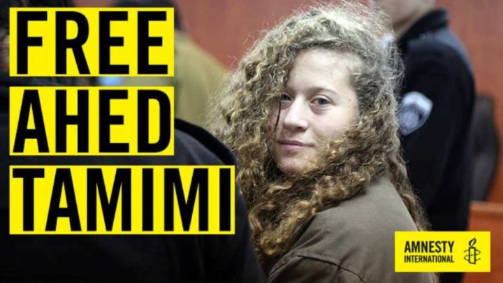 FreeAhed