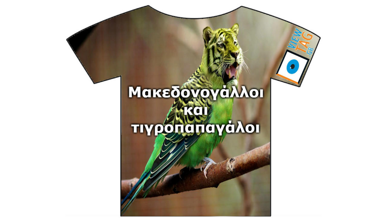 Οι Παπαγάλοι