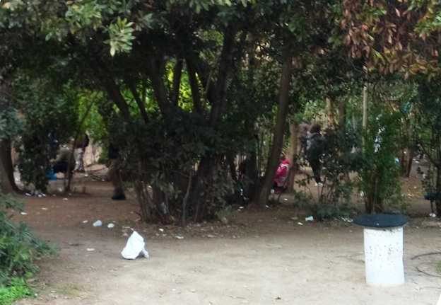 Πεδίον του Άρεως: Κυριακή 11