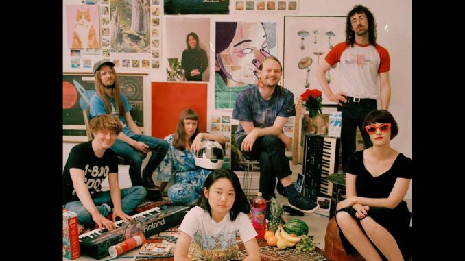 SUPERORGANISM – REFLECTIONS ON THE SCREEN