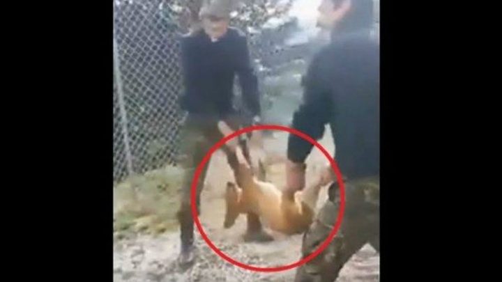 κοινωνία "ματάκηδων"