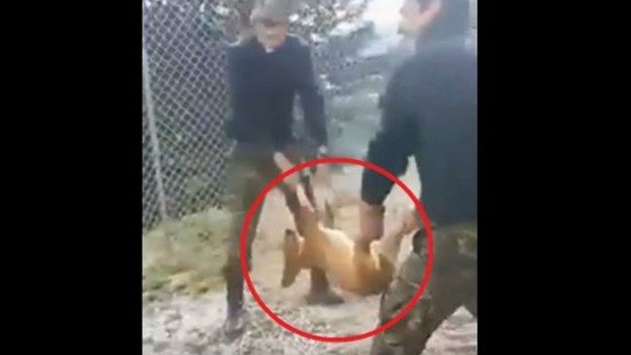 κοινωνία "ματάκηδων"