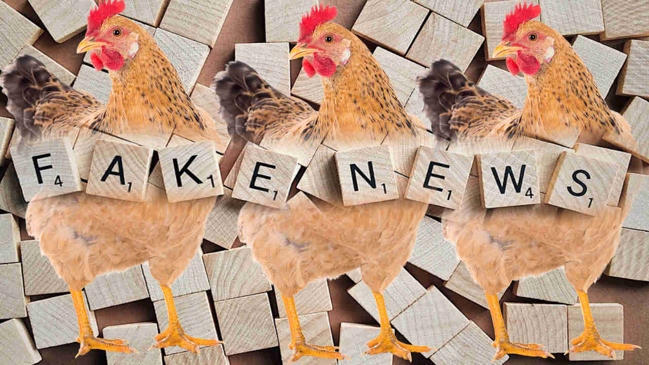 Fake News και κότες λιράτες