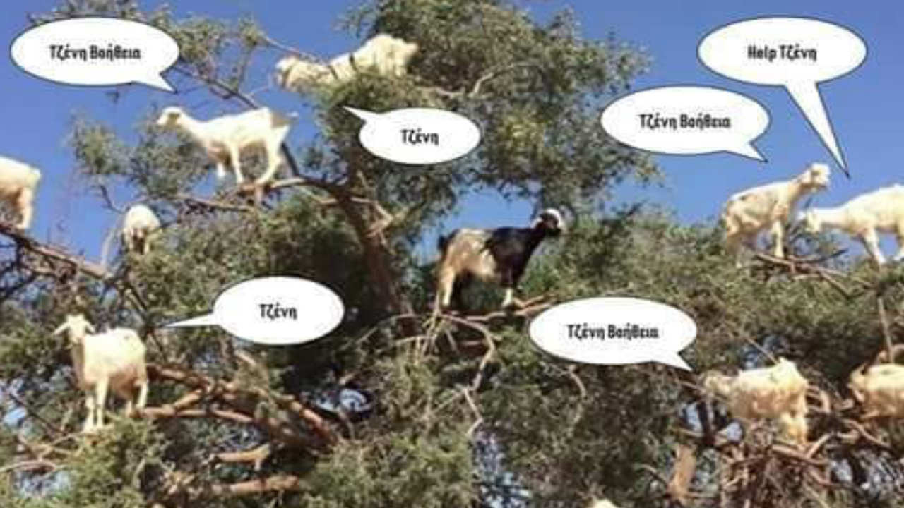 Κατσικίσια Τζένη