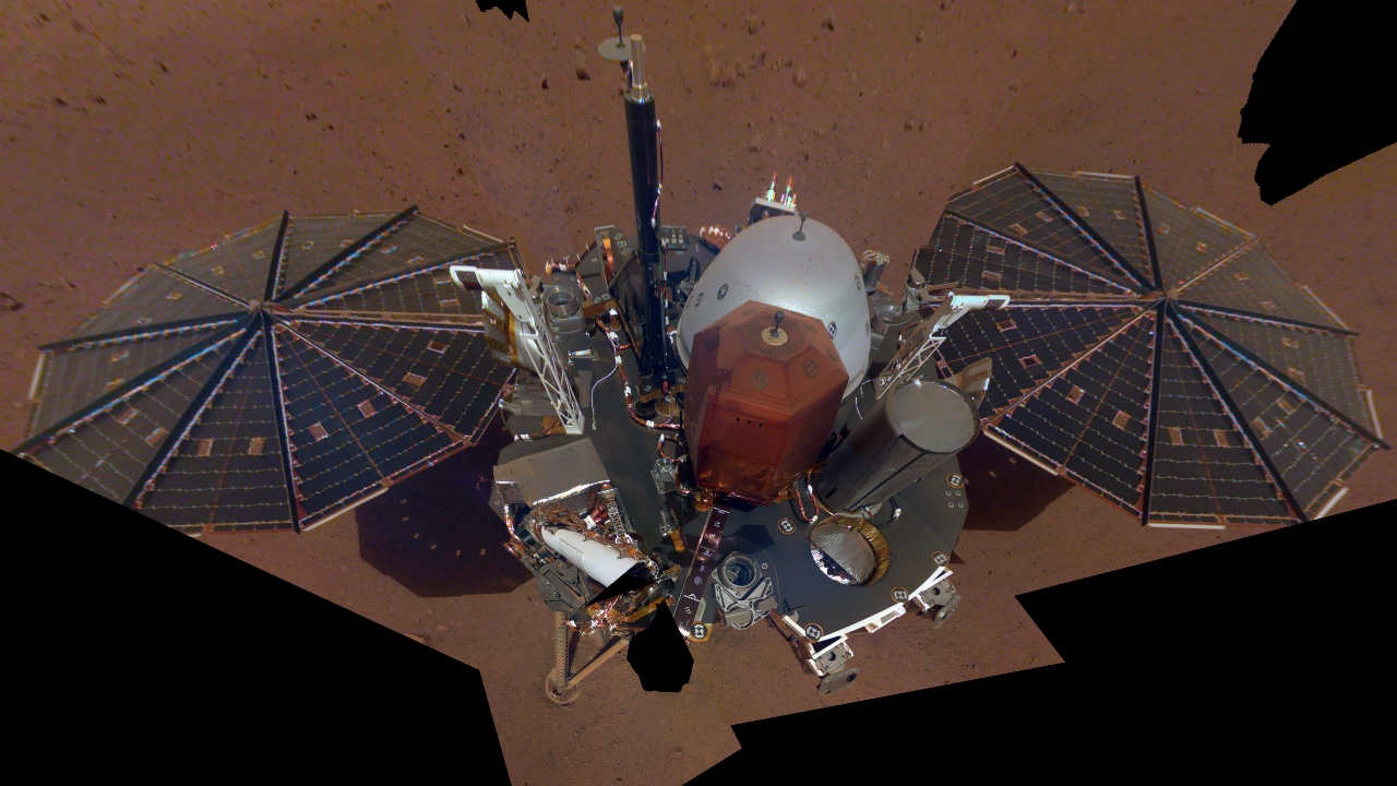 Selfie του Insight