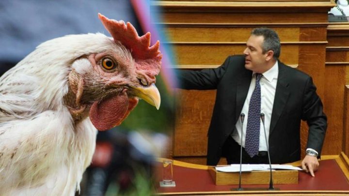 Πίσσα και πούπουλα