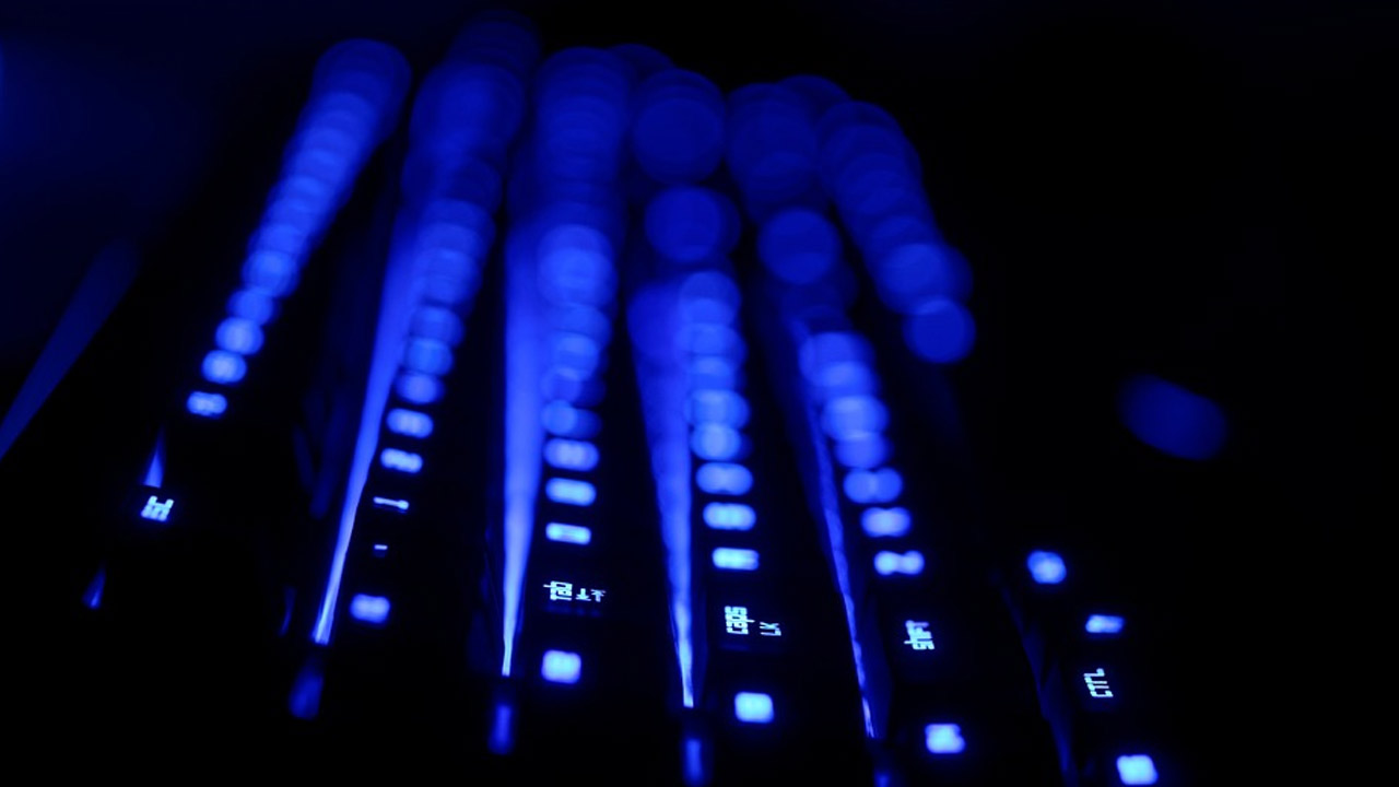 Dark Web