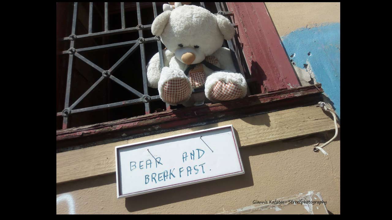 Bear and breakfast