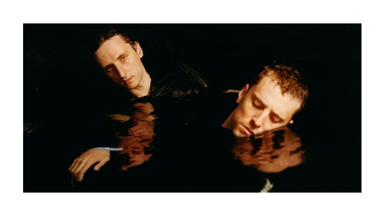 THESE NEW PURITANS - WHERE THE TREES ARE ON FIRE