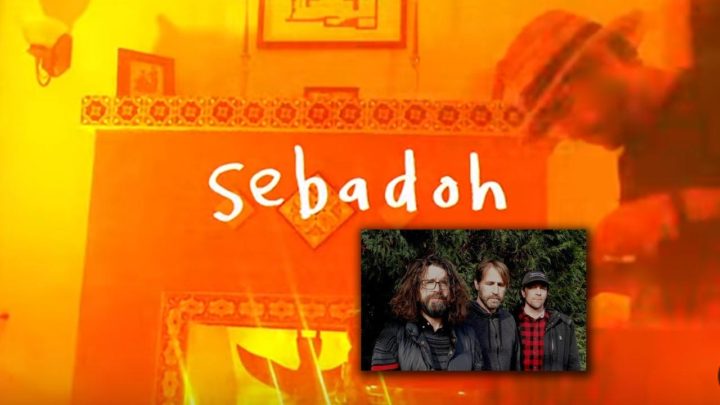 SEBADOH - CELEBRATE THE VOID