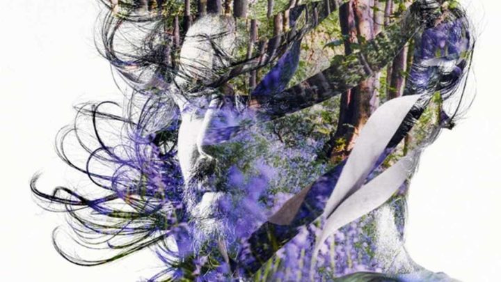 BIBIO