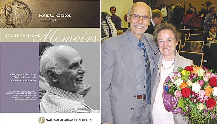 Φώτη Καφάτου