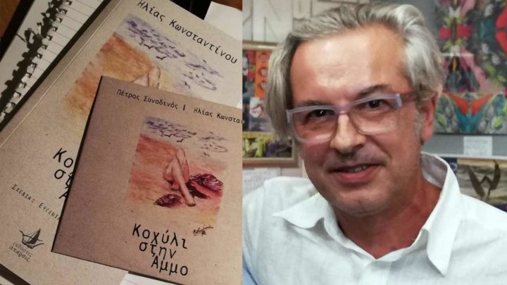 Κοχύλι στην Άμμο