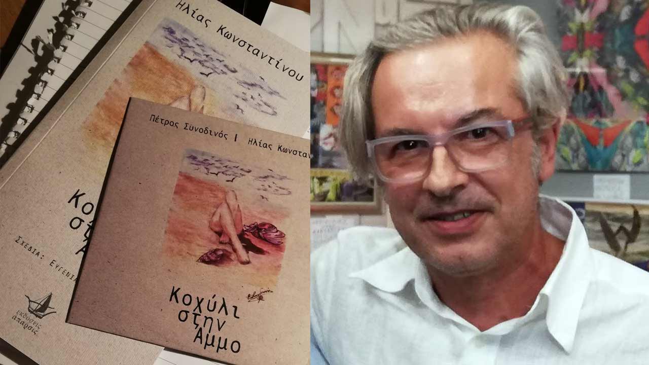 Κοχύλι στην Άμμο