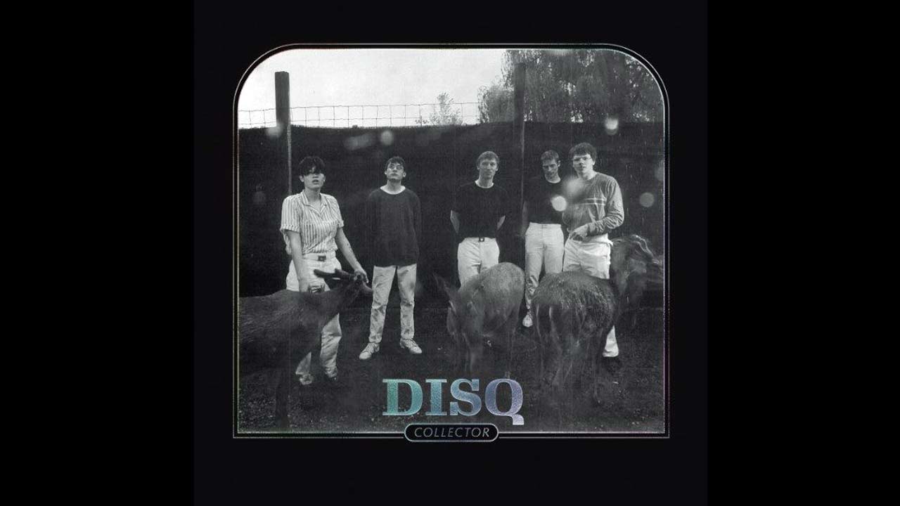 DISQ
