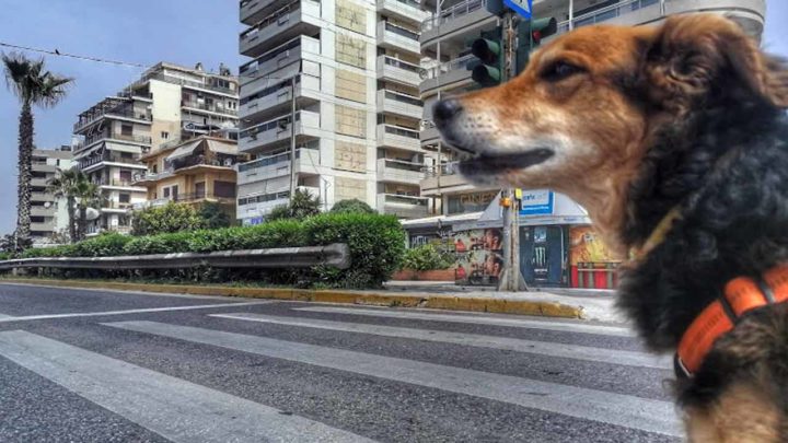 όνειρο