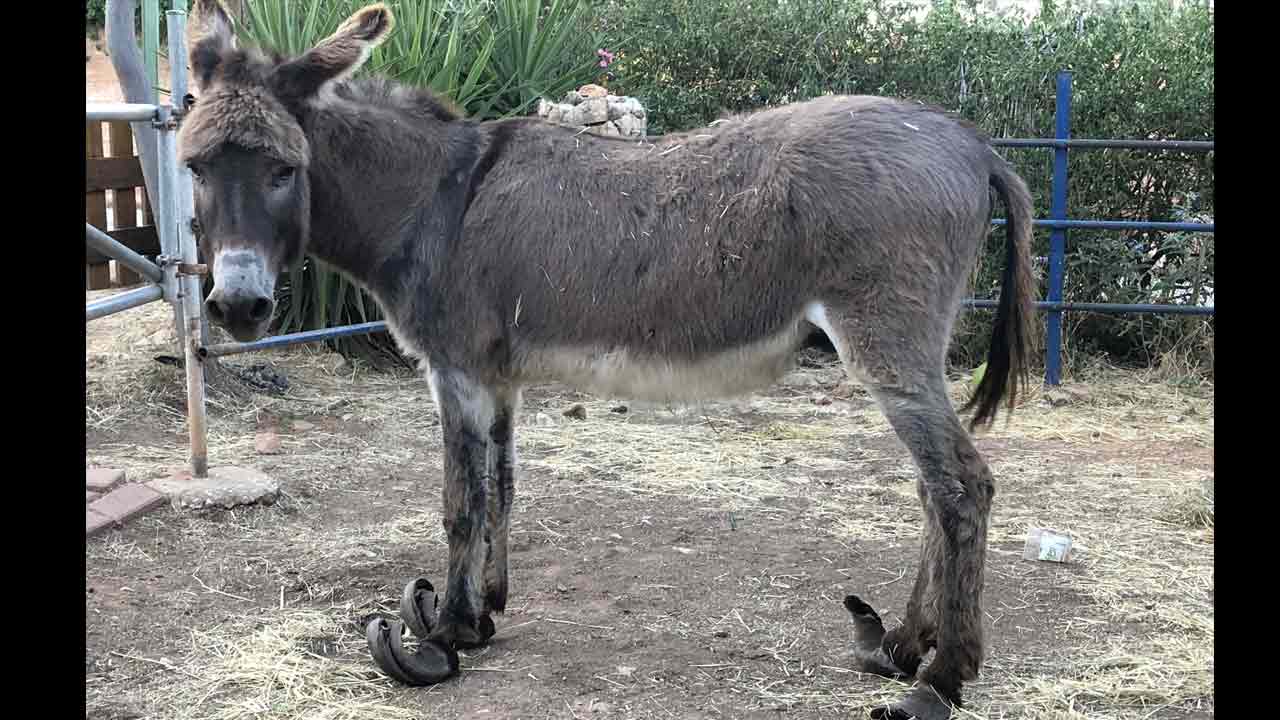 ντέι