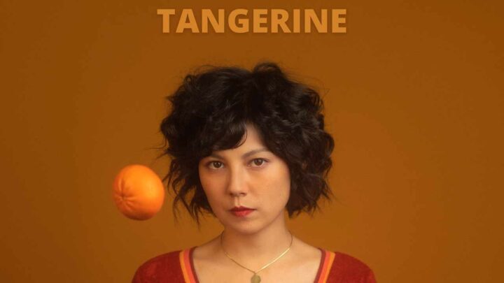 STEADY HOLIDAY - TANGERINE