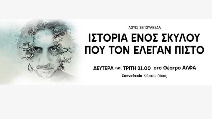 Ιστορία ενός σκύλου
