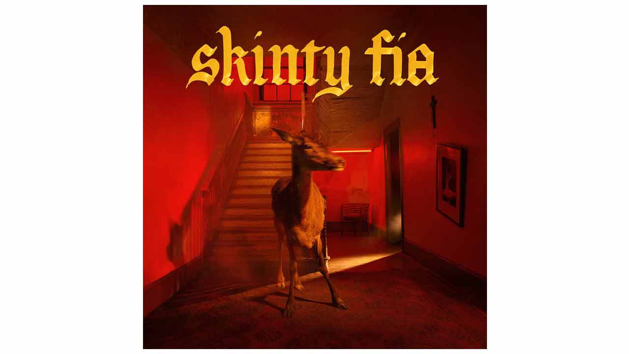 Skinty