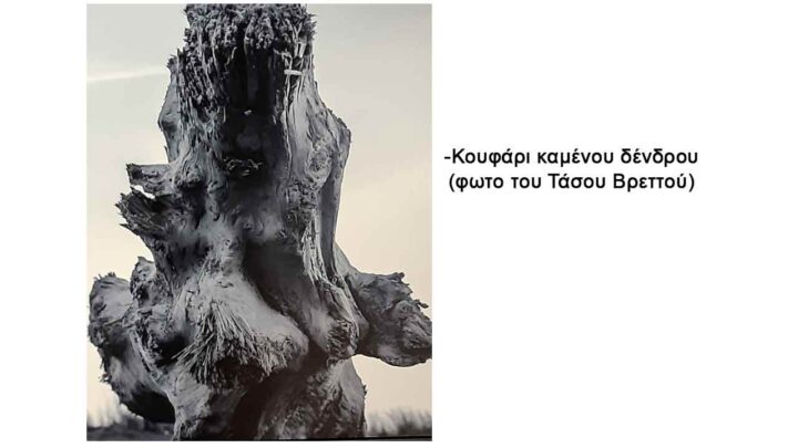 Το ξεκίνημα