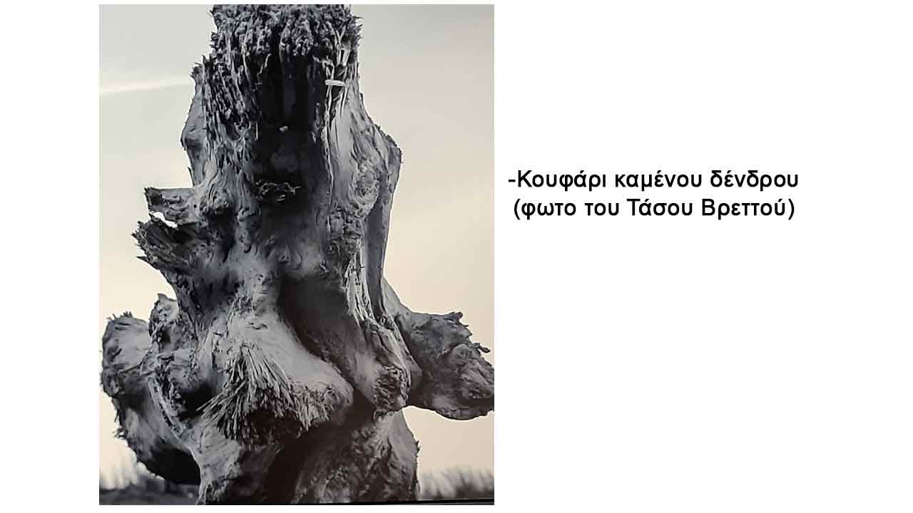 Το ξεκίνημα